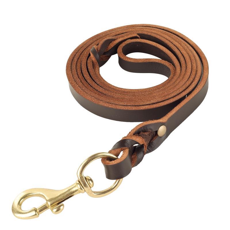 Padded Leather Dog Leash Anarjy
