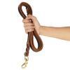 leash